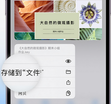 霞山apple维修中心分享iPhone文件应用中存储和找到下载文件