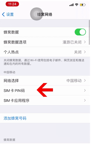 霞山苹果14维修网分享如何给iPhone14的SIM卡设置密码 