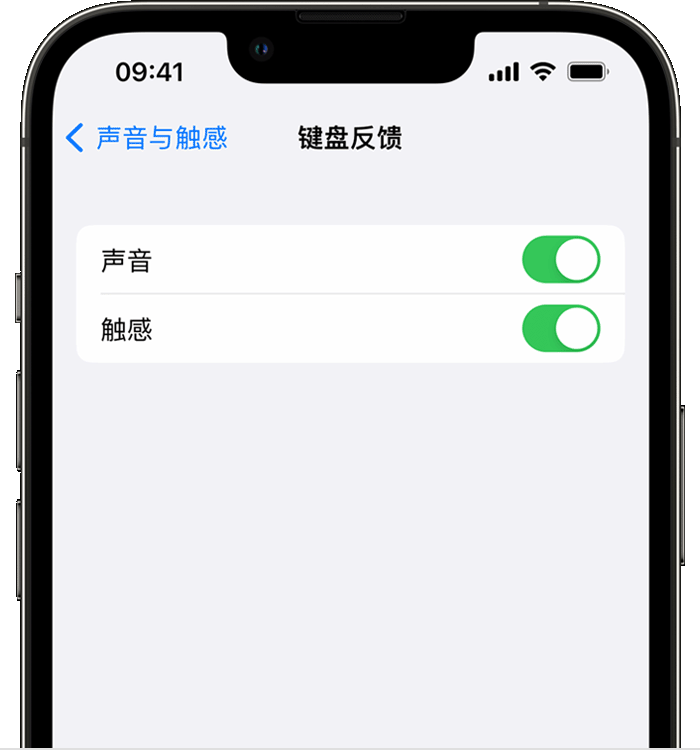 霞山苹果14维修店分享如何在 iPhone 14 机型中使用触感键盘 