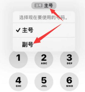 霞山苹果14维修店分享iPhone 14 Pro Max使用副卡打电话的方法 