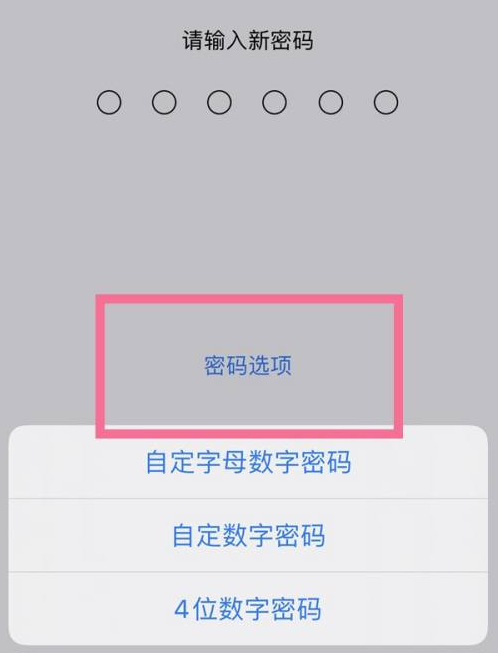 霞山苹果14维修分享iPhone 14plus设置密码的方法 