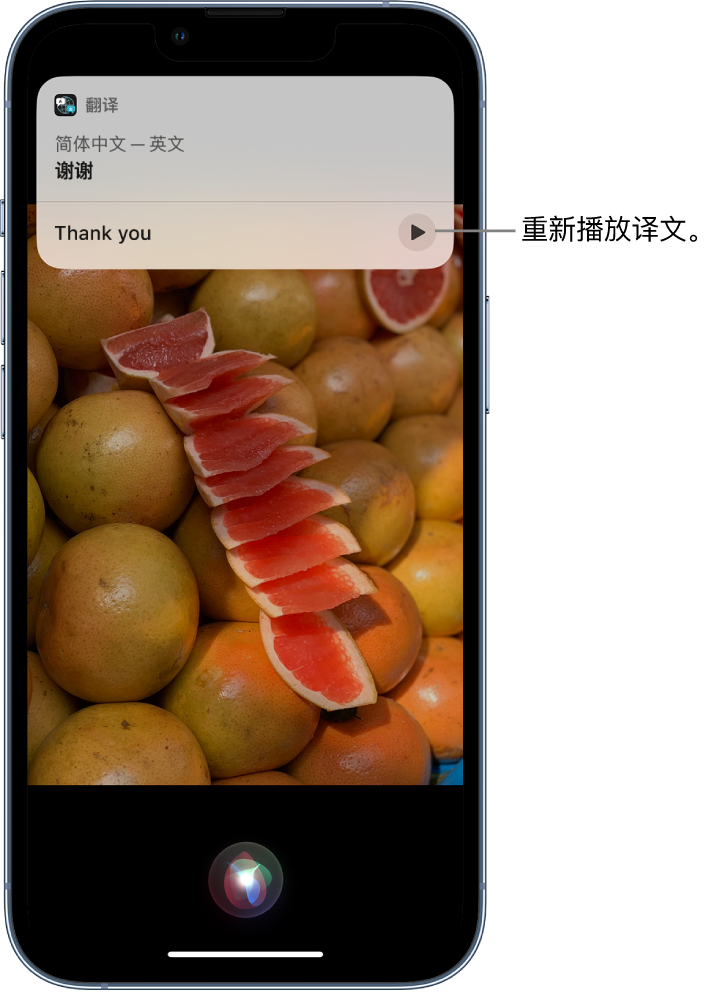 霞山苹果14维修分享 iPhone 14 机型中使用 Siri：了解 Siri 能帮你做什么 