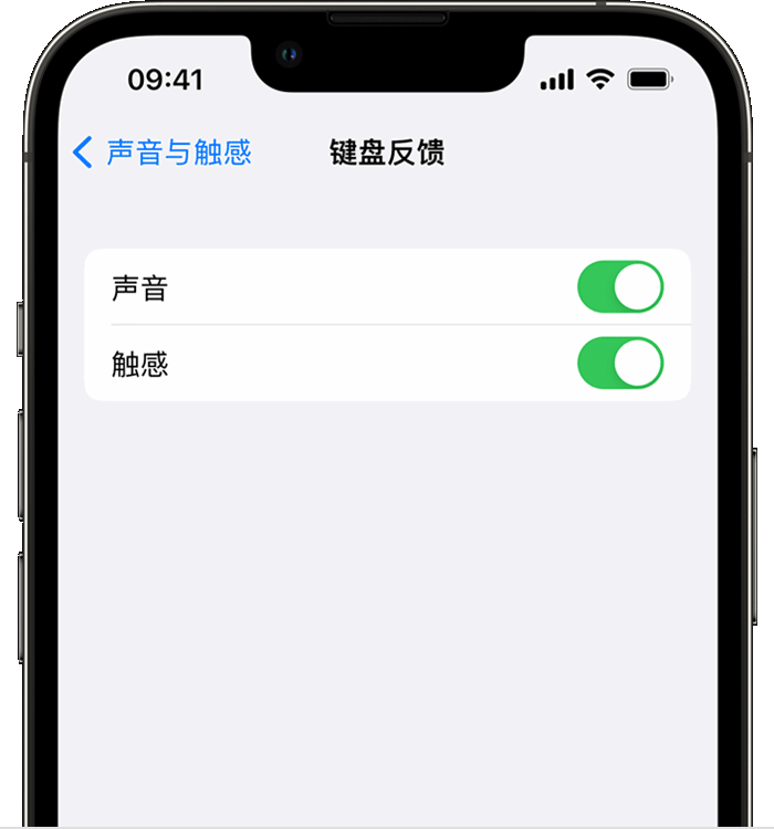 霞山苹果14维修分享iPhone 14 系列机型如何开启键盘声音或触感反馈 