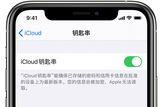 霞山苹果手机维修分享在 iPhone 上开启 iCloud 钥匙串之后会储存哪些信息 