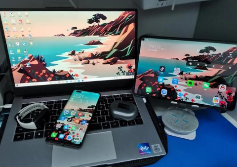 霞山苹果手机维修分享为什么iPad屏幕更大价格却比iPhone低 