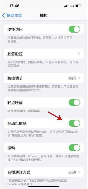 霞山苹果手机维修分享iPhone手机如何设置摇一摇删除文字 