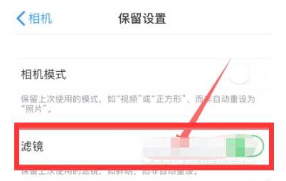 霞山苹果13维修分享iPhone13拍照有绿点是怎么回事 