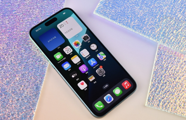 霞山苹果手机维修分享为什么大家不喜欢苹果iPhone 16 Plus 