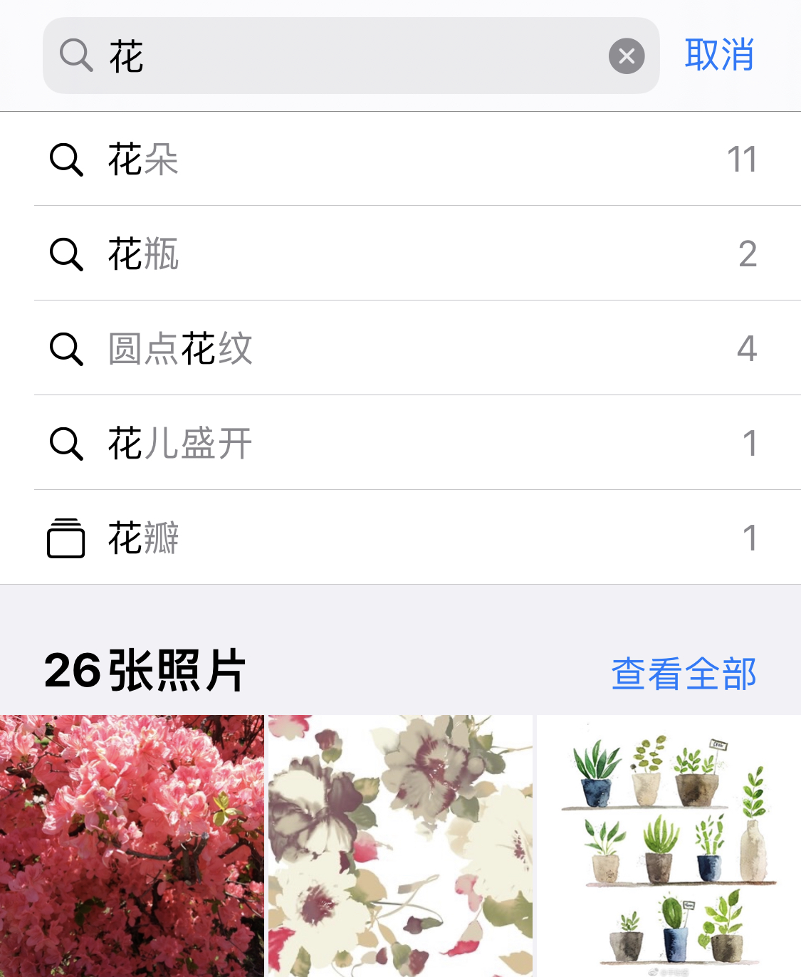 霞山苹果手机维修分享iPhone 小技巧 