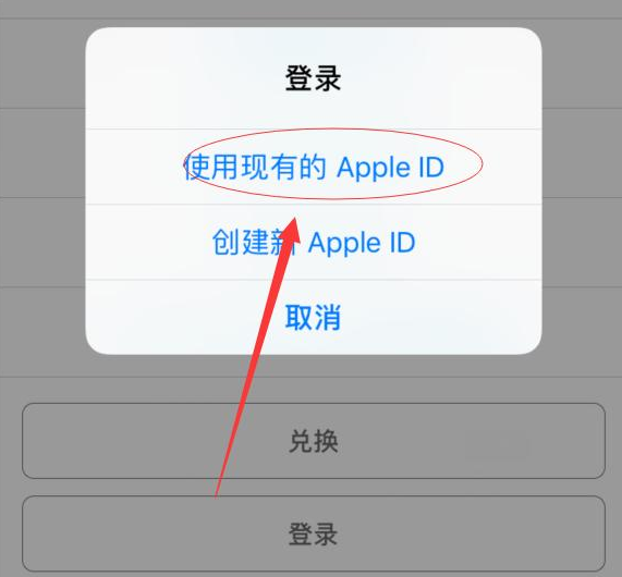 霞山苹果手机维修分享两台iPhone设备可以同时登录一个Apple ID吗 