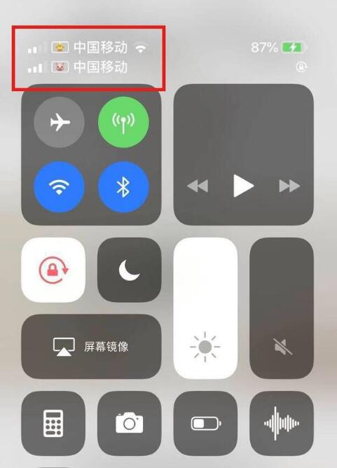霞山苹果手机维修分享为 iPhone 12 双卡设置标签 