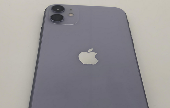 霞山苹果11系统维修分享iPhone11手机系统崩溃无法开机如何解决